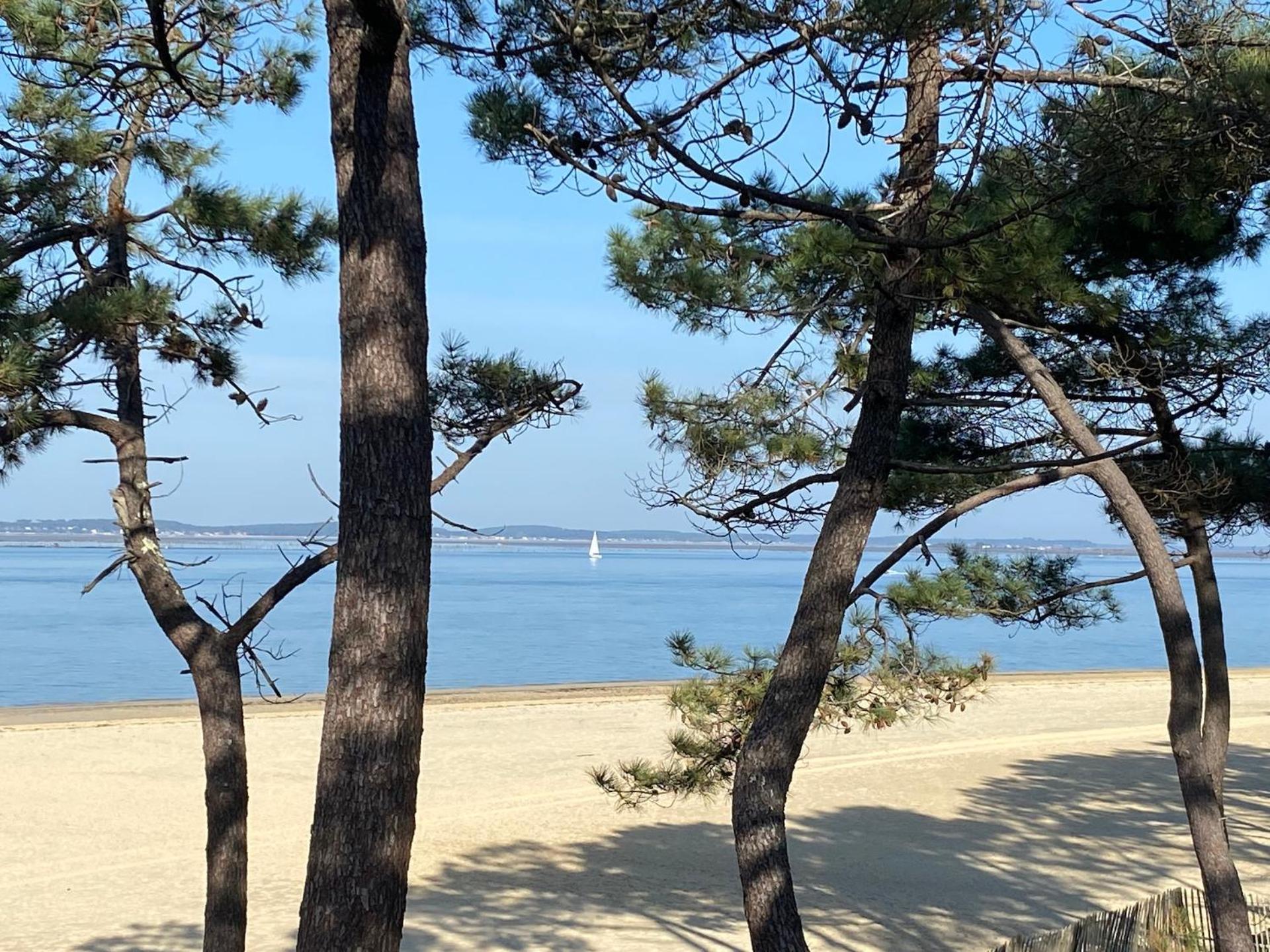 Hotel Particulier - Les Lodges Du Bassin D'Arcachon- Petit-Dejeuner Sur Demande- Prestations Haut De Gamme Gujan-Mestras Exterior photo