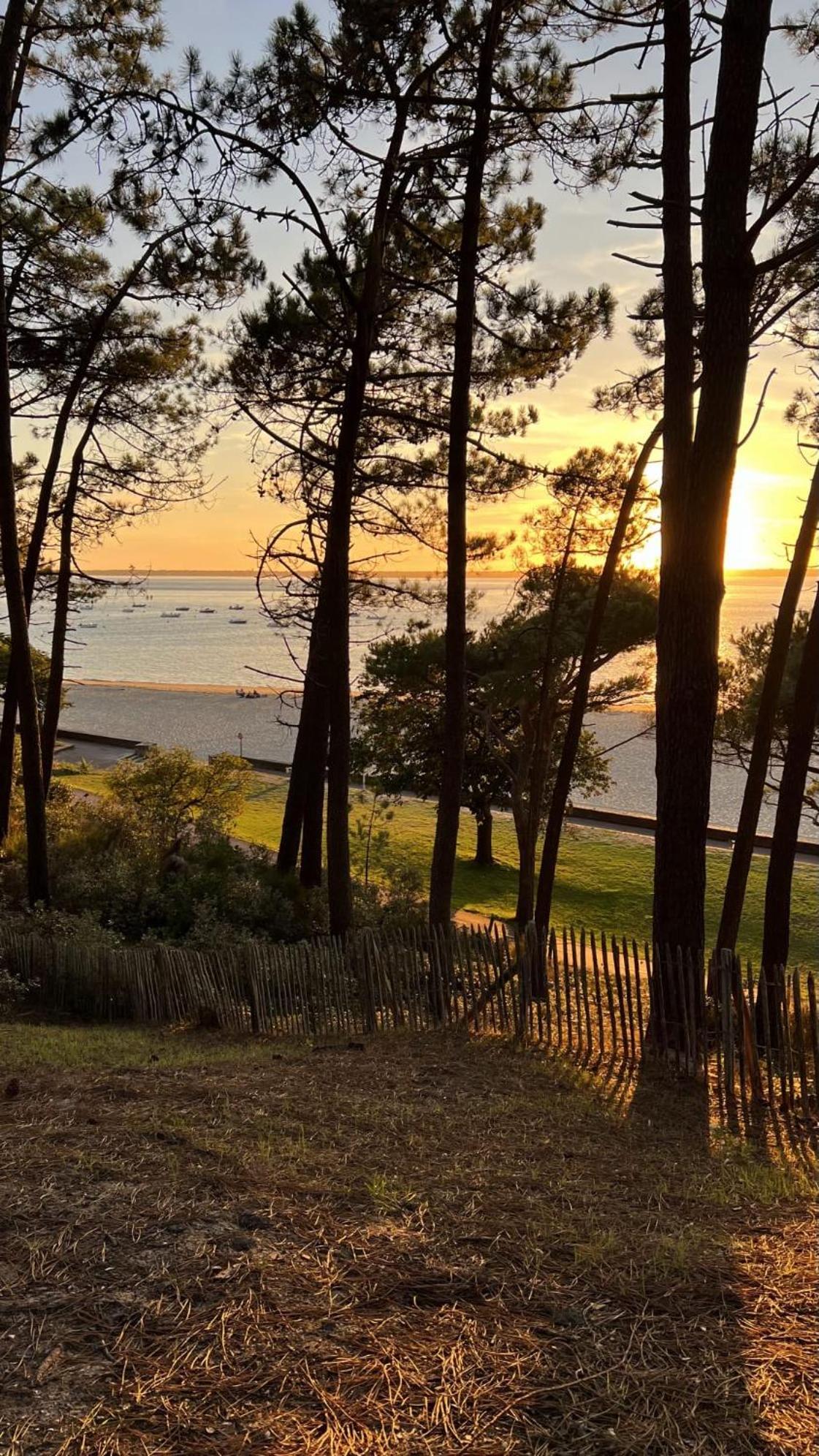Hotel Particulier - Les Lodges Du Bassin D'Arcachon- Petit-Dejeuner Sur Demande- Prestations Haut De Gamme Gujan-Mestras Exterior photo